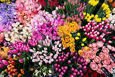 《最终幻想16》曲作者高负荷工作 长期参与两款大作