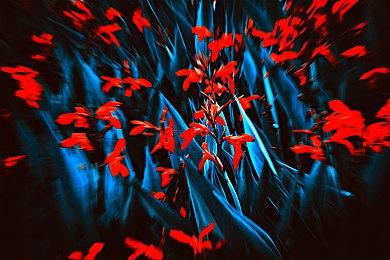 《圣斗士星矢》真人电影预告 5月12日北美上映